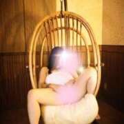 ヒメ日記 2025/02/28 10:25 投稿 むらさき(奥様) 姫マーケット