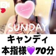 ヒメ日記 2025/04/06 21:25 投稿 むらさき(奥様) 姫マーケット