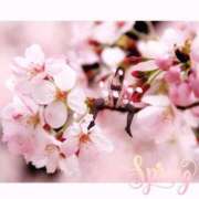 ヒメ日記 2025/04/13 22:15 投稿 むらさき(奥様) 姫マーケット