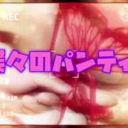 ヒメ日記 2025/04/16 20:05 投稿 むらさき(奥様) 姫マーケット