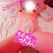 ヒメ日記 2025/04/22 22:55 投稿 むらさき(奥様) 姫マーケット