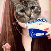 ヒメ日記 2025/05/09 11:27 投稿 むらさき(奥様) 姫マーケット