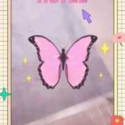 ヒメ日記 2025/06/25 20:17 投稿 むらさき(奥様) 姫マーケット