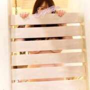 ヒメ日記 2025/07/01 11:05 投稿 むらさき(奥様) 姫マーケット