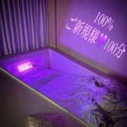 ヒメ日記 2025/08/21 15:32 投稿 むらさき(奥様) 姫マーケット