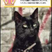 ヒメ日記 2025/08/28 18:45 投稿 むらさき(奥様) 姫マーケット