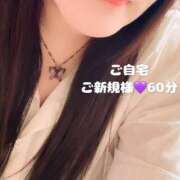 ヒメ日記 2025/08/31 00:29 投稿 むらさき(奥様) 姫マーケット