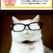 ヒメ日記 2025/09/08 18:02 投稿 むらさき(奥様) 姫マーケット