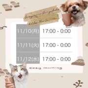 ヒメ日記 2025/11/09 17:25 投稿 むらさき(奥様) 姫マーケット