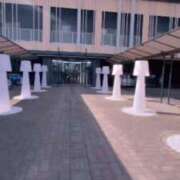 ヒメ日記 2025/11/17 19:15 投稿 むらさき(奥様) 姫マーケット