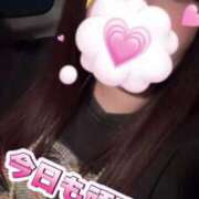 ヒメ日記 2025/11/22 19:35 投稿 むらさき(奥様) 姫マーケット