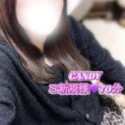 ヒメ日記 2025/11/26 13:25 投稿 むらさき(奥様) 姫マーケット