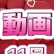 ヒメ日記 2025/12/11 17:45 投稿 むらさき(奥様) 姫マーケット