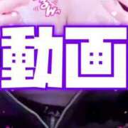 ヒメ日記 2026/01/31 17:45 投稿 むらさき(奥様) 姫マーケット