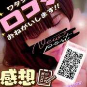 ヒメ日記 2026/02/20 10:25 投稿 むらさき(奥様) 姫マーケット