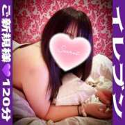 ヒメ日記 2026/02/28 17:55 投稿 むらさき(奥様) 姫マーケット