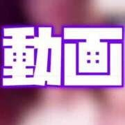ヒメ日記 2026/03/02 14:25 投稿 むらさき(奥様) 姫マーケット