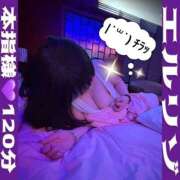 ヒメ日記 2026/03/22 09:55 投稿 むらさき(奥様) 姫マーケット