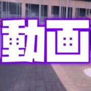 ヒメ日記 2026/04/09 11:35 投稿 むらさき(奥様) 姫マーケット