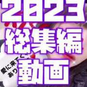 ヒメ日記 2026/04/29 16:05 投稿 むらさき(奥様) 姫マーケット