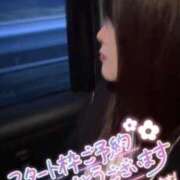 ヒメ日記 2026/05/15 19:35 投稿 むらさき(奥様) 姫マーケット