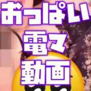 ヒメ日記 2026/05/29 20:14 投稿 むらさき(奥様) 姫マーケット