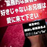 ヒメ日記 2026/05/31 10:15 投稿 むらさき(奥様) 姫マーケット