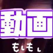 ヒメ日記 2026/06/01 10:25 投稿 むらさき(奥様) 姫マーケット