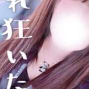 ヒメ日記 2026/06/16 13:35 投稿 むらさき(奥様) 姫マーケット