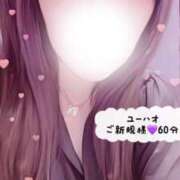ヒメ日記 2026/06/22 12:31 投稿 むらさき(奥様) 姫マーケット