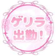 ヒメ日記 2026/06/30 09:15 投稿 むらさき(奥様) 姫マーケット