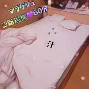 ヒメ日記 2026/08/21 21:45 投稿 むらさき(奥様) 姫マーケット