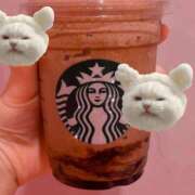 ヒメ日記 2025/01/23 21:47 投稿 れい マリン千姫