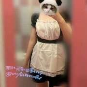 ヒメ日記 2025/02/05 18:56 投稿 れい マリン千姫