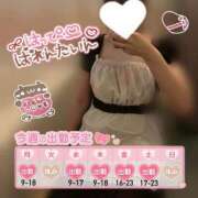 ヒメ日記 2025/02/08 18:17 投稿 れい マリン千姫