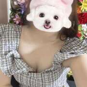 ヒメ日記 2025/03/14 12:36 投稿 れい マリン千姫