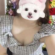 ヒメ日記 2025/04/15 17:06 投稿 れい マリン千姫