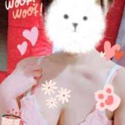 ヒメ日記 2025/01/12 14:35 投稿 丹内 ちはる セレブリフレ水戸