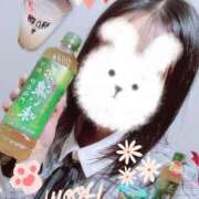 ヒメ日記 2025/01/26 02:09 投稿 丹内 ちはる セレブリフレ水戸