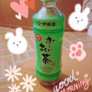 ヒメ日記 2025/05/24 20:06 投稿 丹内 ちはる セレブリフレ水戸