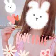 ヒメ日記 2025/07/08 15:07 投稿 丹内 ちはる セレブリフレ水戸