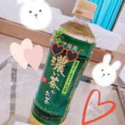 ヒメ日記 2025/08/15 12:24 投稿 丹内 ちはる セレブリフレ水戸