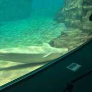 ヒメ日記 2025/06/23 20:43 投稿 ☆Minmi【ミンミ】☆ club MUTEKI