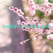 ヒメ日記 2025/03/11 16:52 投稿 南野選手 お願いマラどーな