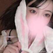 ヒメ日記 2025/03/08 21:08 投稿 まいか 恋するバニー