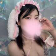 ヒメ日記 2025/03/11 23:44 投稿 まいか 恋するバニー