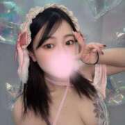 ヒメ日記 2025/03/15 22:04 投稿 まいか 恋するバニー