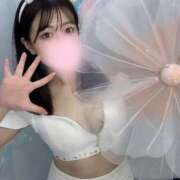 ヒメ日記 2025/04/19 10:37 投稿 まいか 恋するバニー