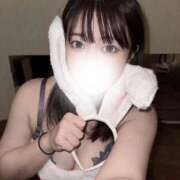 ヒメ日記 2025/04/20 01:30 投稿 まいか 恋するバニー