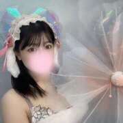 ヒメ日記 2025/04/20 20:35 投稿 まいか 恋するバニー